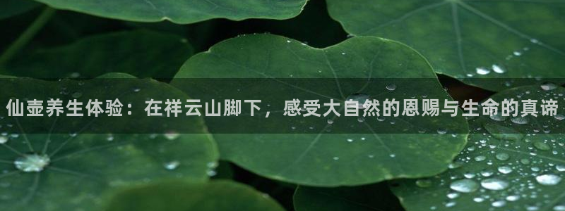 九游会网址多少九：仙壶养生体验：在祥云山脚下，感受大自然的恩