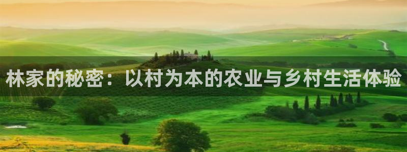 ah九游会
