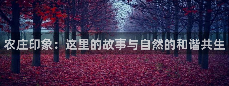 九游会j9娱乐官网
