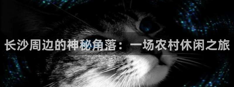 九游会app安全吗