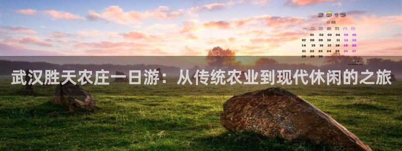 j9九游会ag8手机aPP