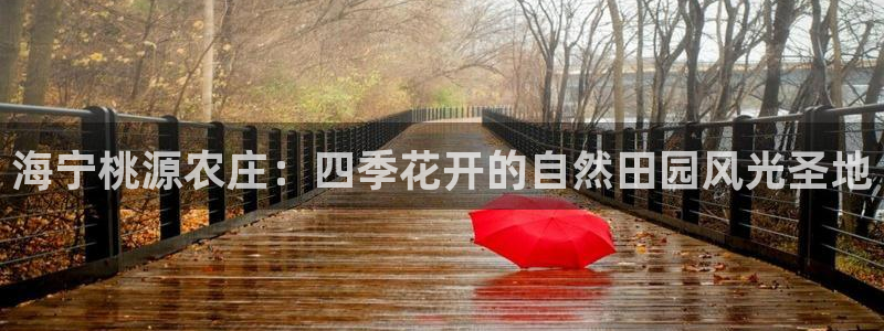搜索 九游会