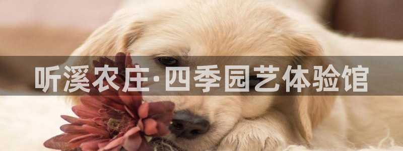 ag九游会j9类似平台