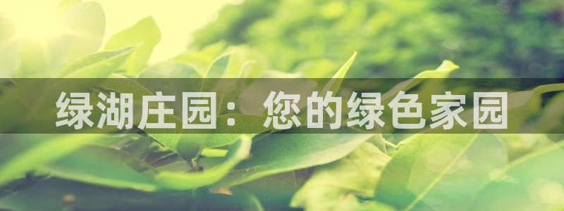 ag九游会网址永不