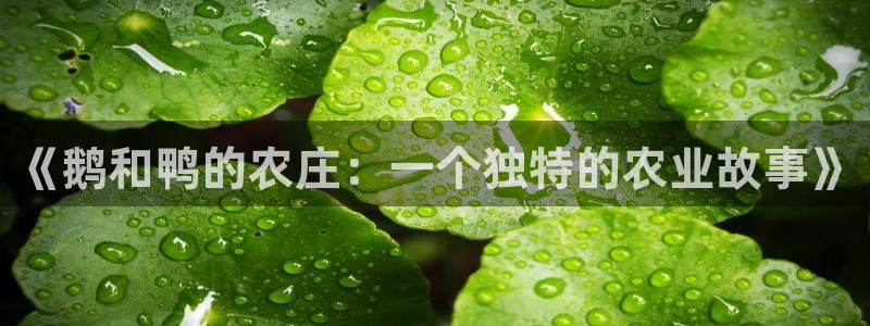 九游会和九游国际区别