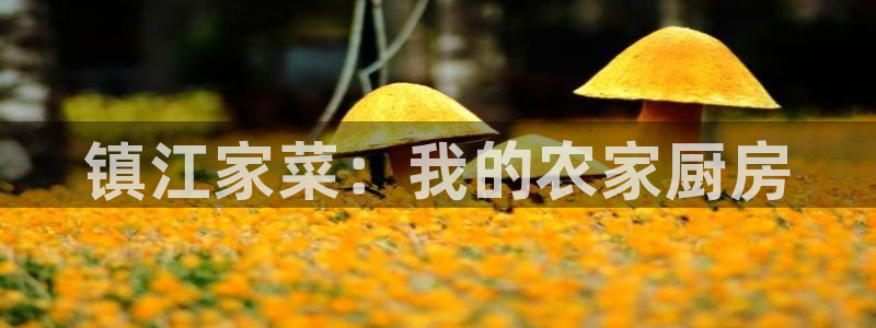 九游会网址平台怎么样