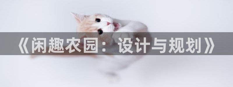 九游会网址国际