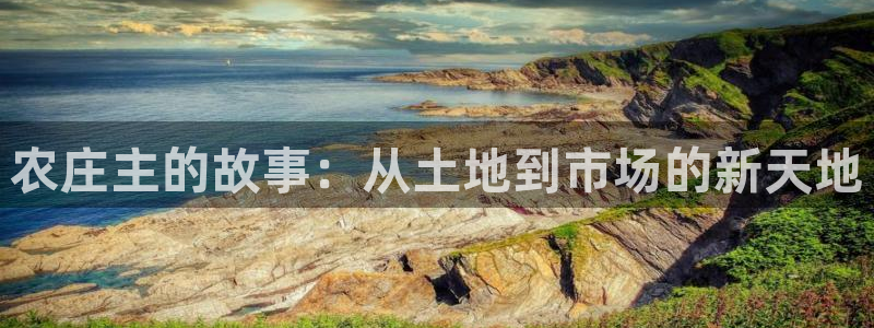 jd九游会
