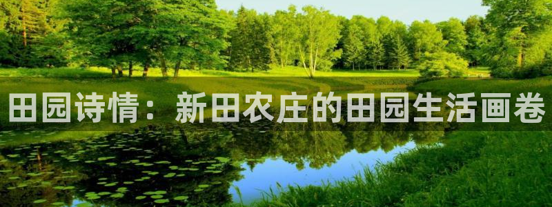 九游会网站