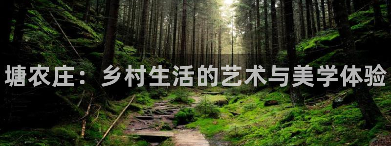 九游会倒闭吗