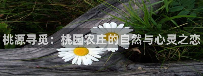 九游会真实网