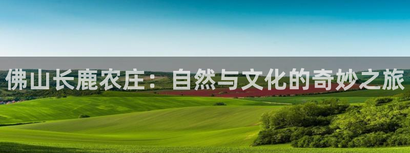 九游会官网在线客服