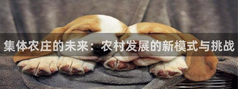 九游是否会倒闭