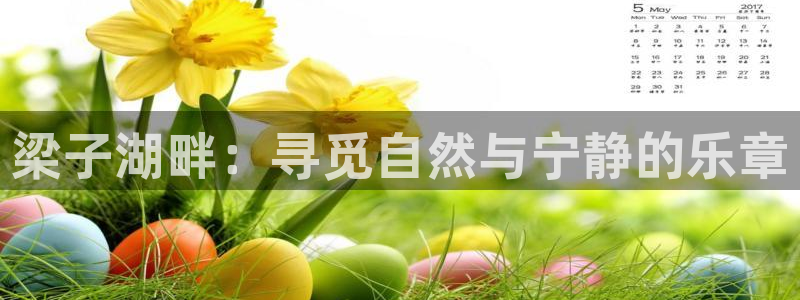 九游会手机端
