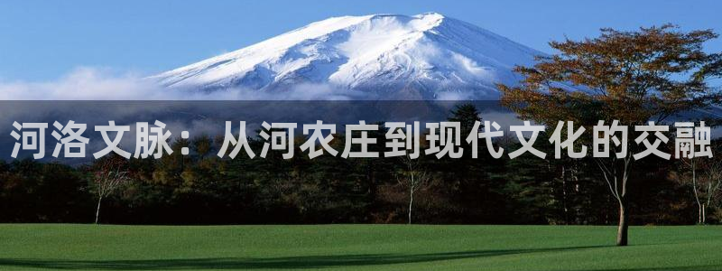 九游会取款分流