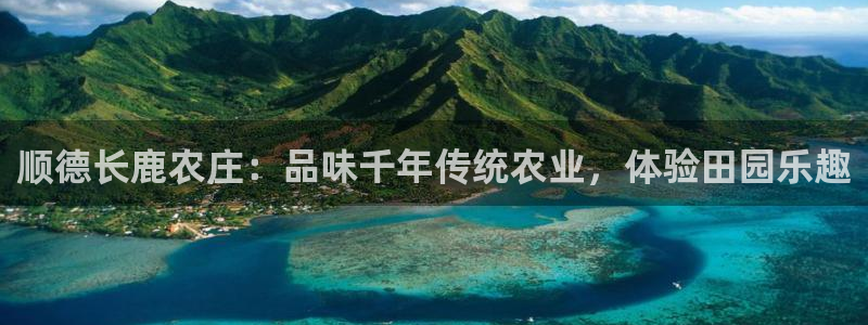 九游会网页版官网入口