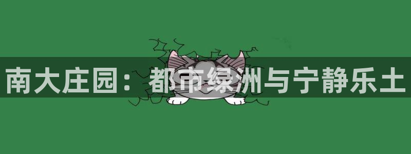 九游会体彩