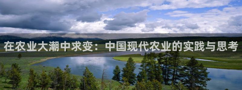 九游会体育竞猜