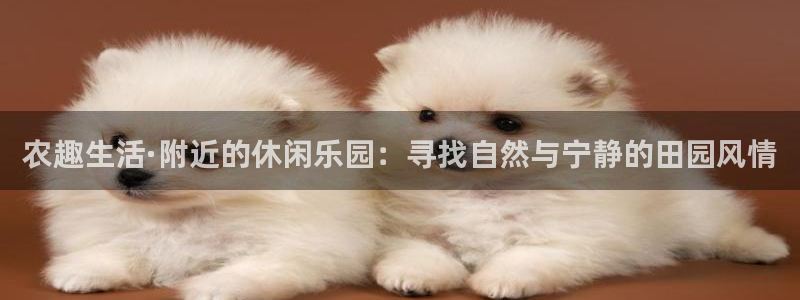 九游会积分王