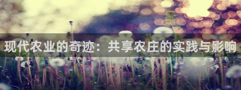 九游会官网入口在哪找