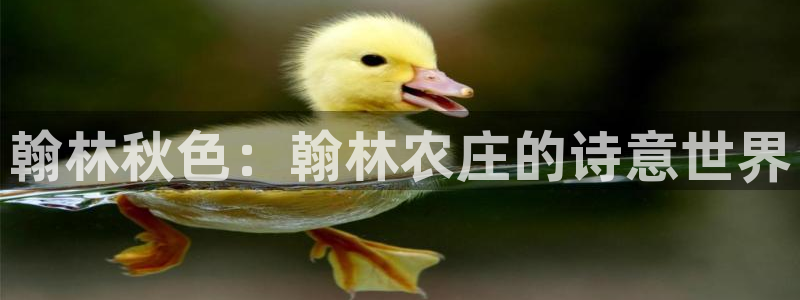 ag九游会老哥会