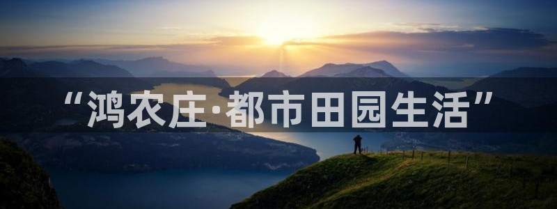 九游会跟币游