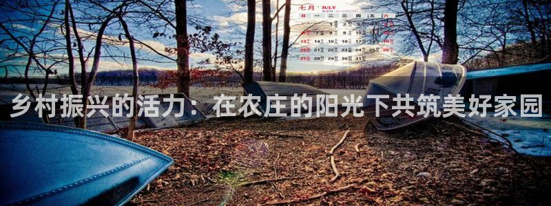 九游会平台最强