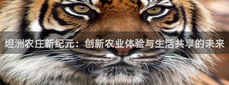j9九游会入口j9