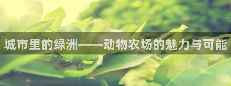 九游会官网入口下载