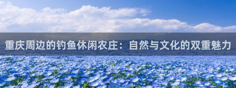 j9九游会官网入口