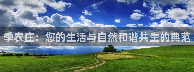 园游会小九