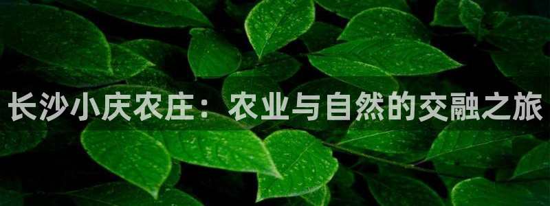 九游会登陆官方网站