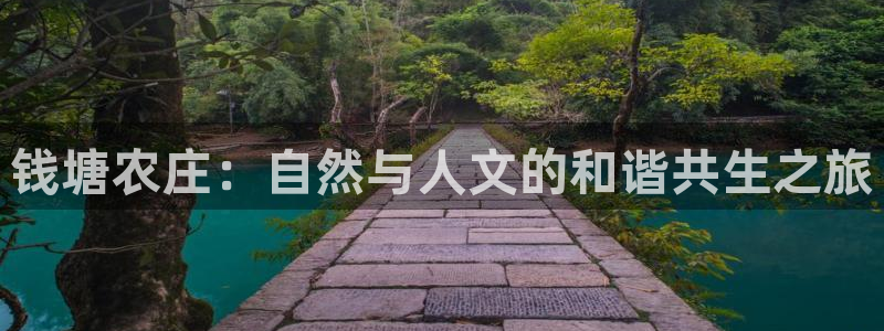 九游会官网平台网址