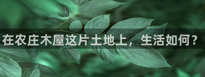 九游会与俄罗斯专享会