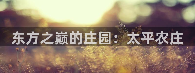 九游会只为非凡