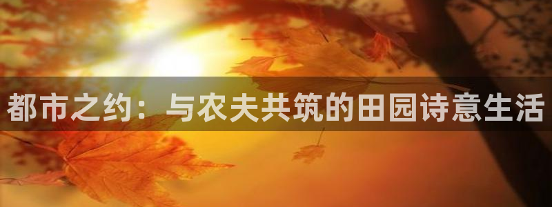 九游会j9手机旗舰