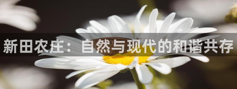 九游会yoplay