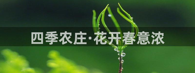 九游会app官方