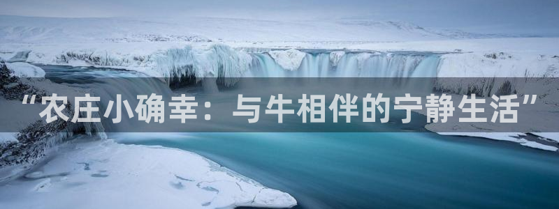 九游账号会丢吗吗