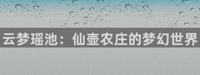 九游会官方正版下载地址