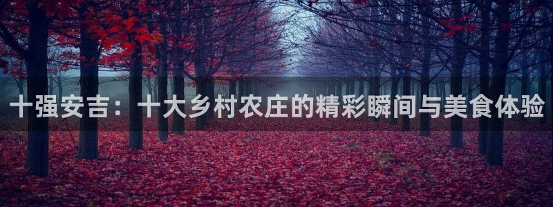 九游会官网登录入口网页