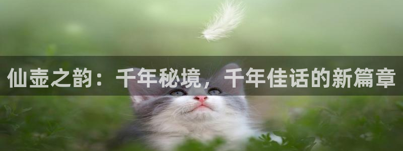 九游会登录不了