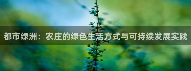 九游账号会丢吗吗