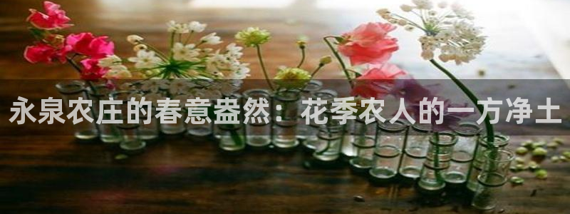我的九游会