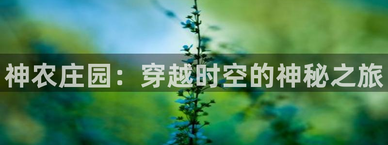 九游会手机游戏