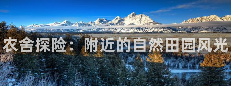 九游会官网入口在哪儿