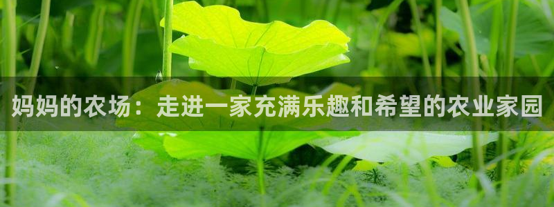 九游会网址九