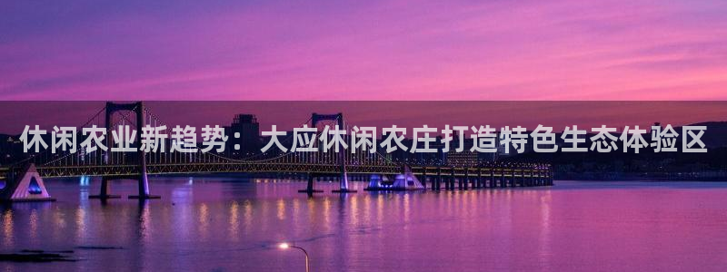 91九游会