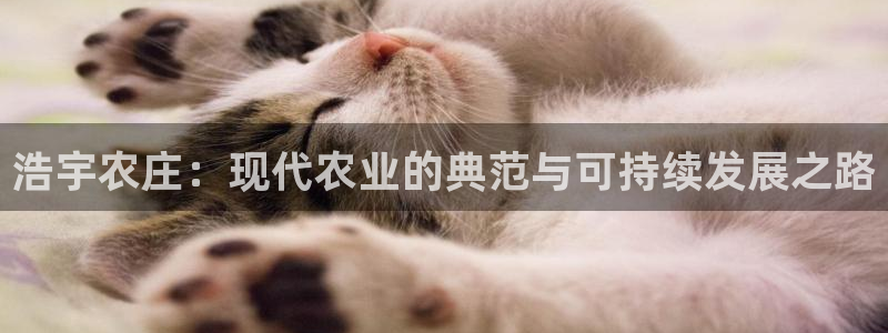 九游会人口