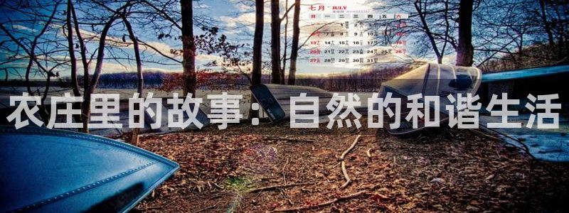 九游会 ag